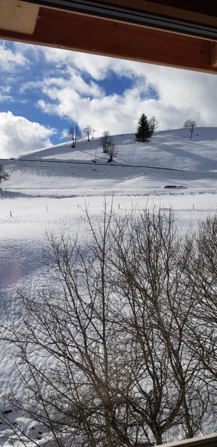 Ferienwohnung Natururlaub Muggenbrunn Todtnau Luaran gambar