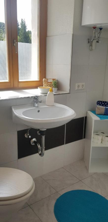 Ferienwohnung Natururlaub Muggenbrunn Todtnau Luaran gambar