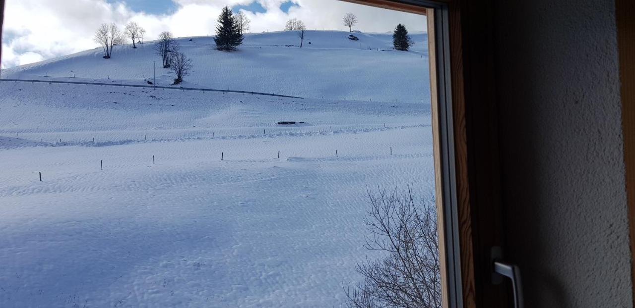 Ferienwohnung Natururlaub Muggenbrunn Todtnau Luaran gambar