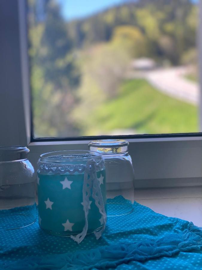 Ferienwohnung Natururlaub Muggenbrunn Todtnau Luaran gambar